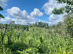 Eladio's Farm & Chocolate