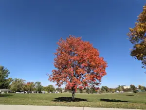 Noelridge Park