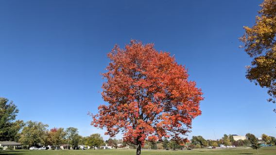 Noelridge Park