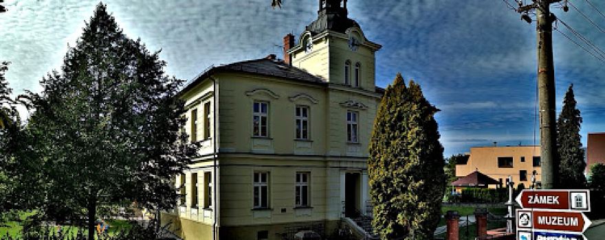 Obec Holasovice