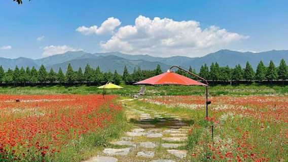 Seoshicheon Park