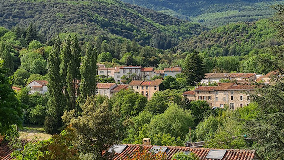 Camping Les Terrasses Du Jaur