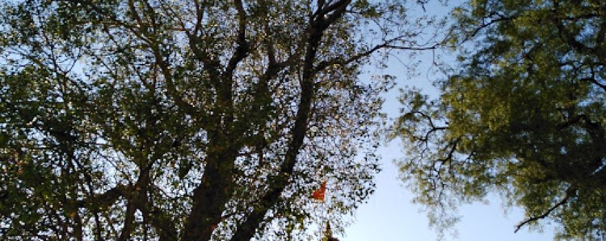 Sompuri Maharaj Temple