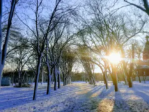 Kirov Park