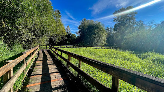 The Park at Bothell Landing
