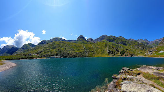 Malciaussia