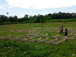 Hima Das Playground
