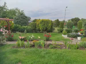 Rodzinny Ogród Działkowy „Tulipan” w Radomsku