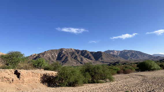 Molinos Cabalgatas