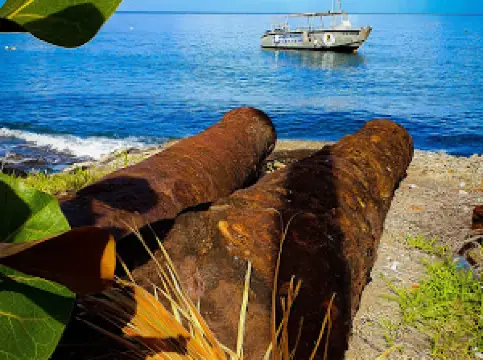 APAPA OF DIVING LO MARTINIQUE