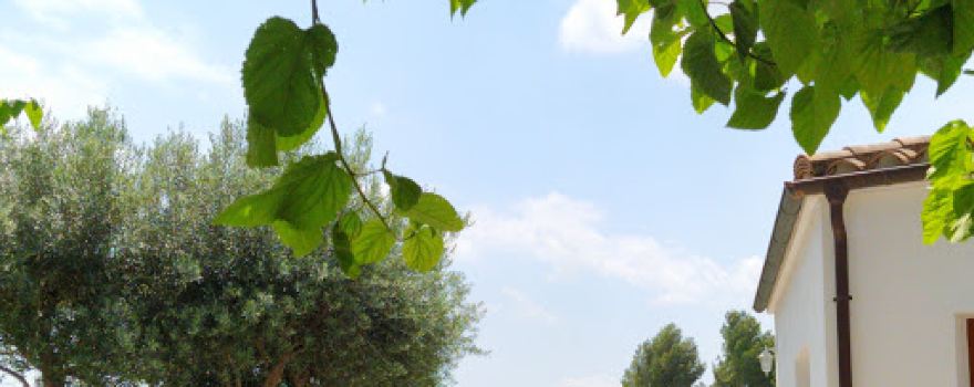 Camping Cal Ferraguet (CAMPING PRIVAT)