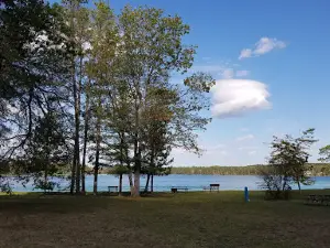 Clear Lake State Park Day Use Area