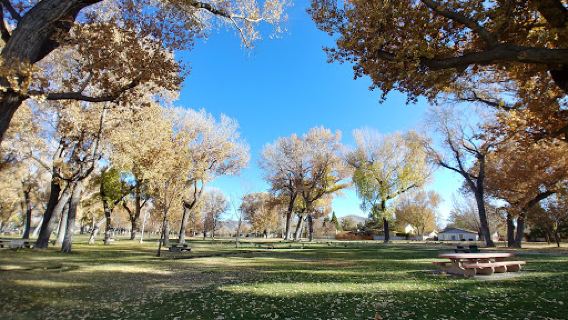 Mills Park