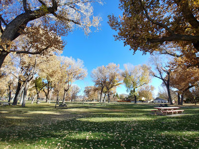 Mills Park