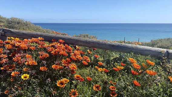 Frank Hilton Reserve