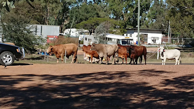 Sapphire public Swimming pool
