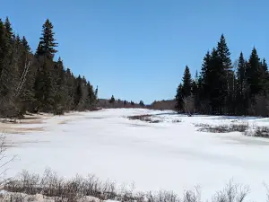 Birch Island Boardwalk