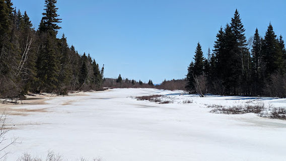 Birch Island Boardwalk