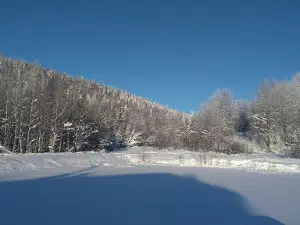 Ivanov Log