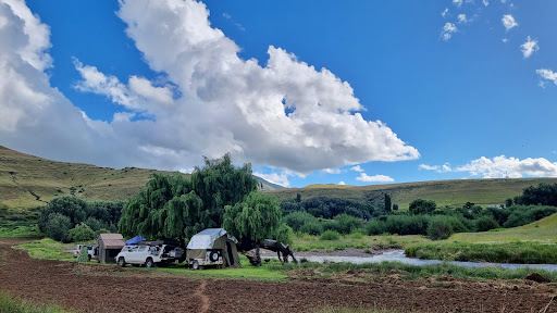 Alpine Swift Campsite