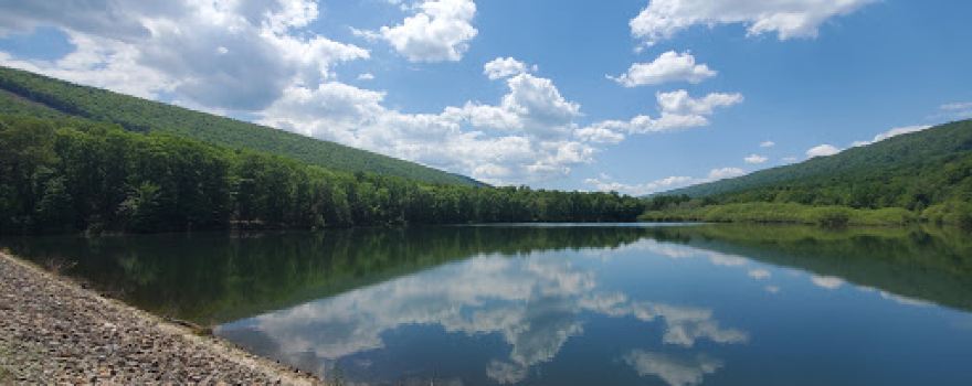 Tuscarora State Forest