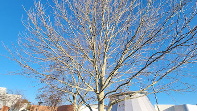 Riverton Leisureplex