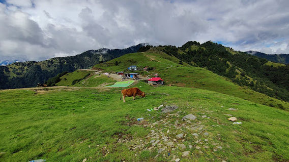 Bir Billing Paragliding - Rudra Adventures
