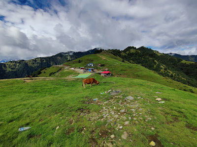 Bir Billing Paragliding - Rudra Adventures