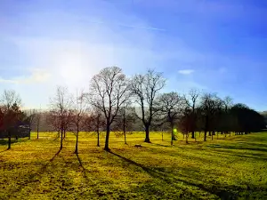 Towneley Park