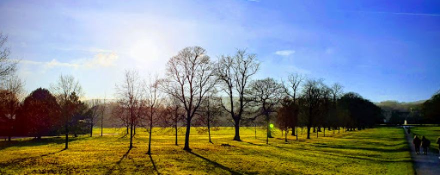 Towneley Park