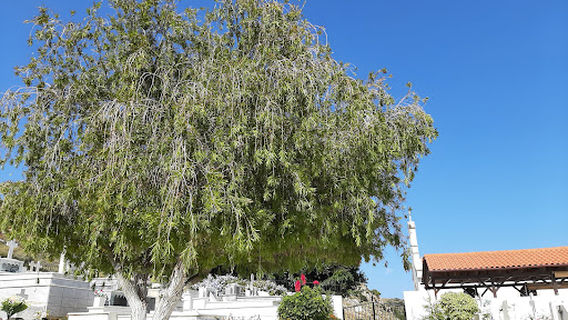 Saint Dimitrios Holy Orthodox Cemetery Church
