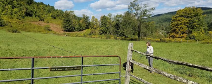 Tyringham Cobble Trailhead