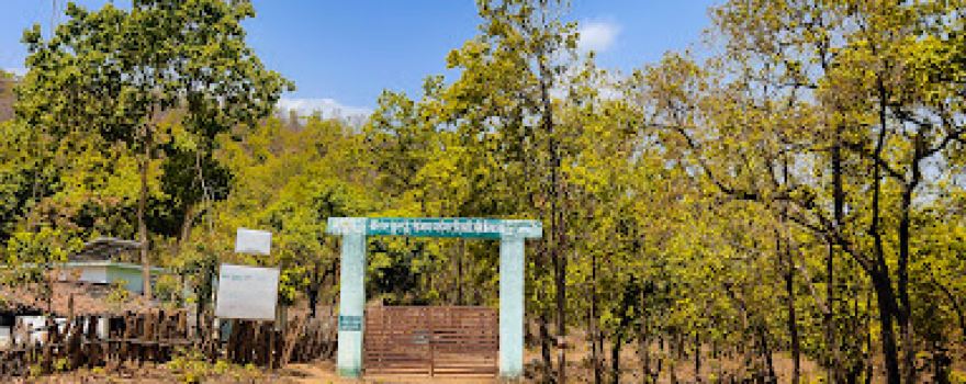 Sanjay National Park