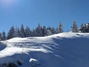 Ski slope Konjarnik