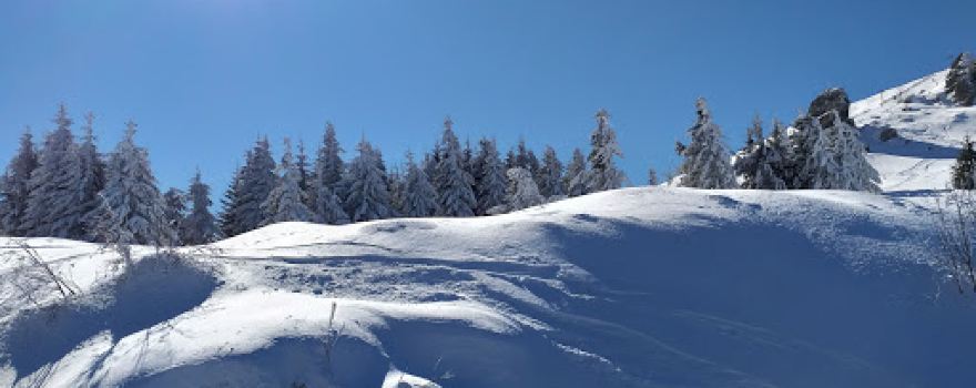 Ski slope Konjarnik