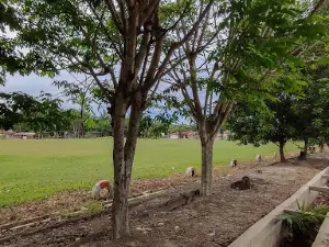 Lapangan Sepak Bola Mutiara Bakti
