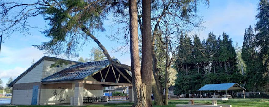 American Lake Park