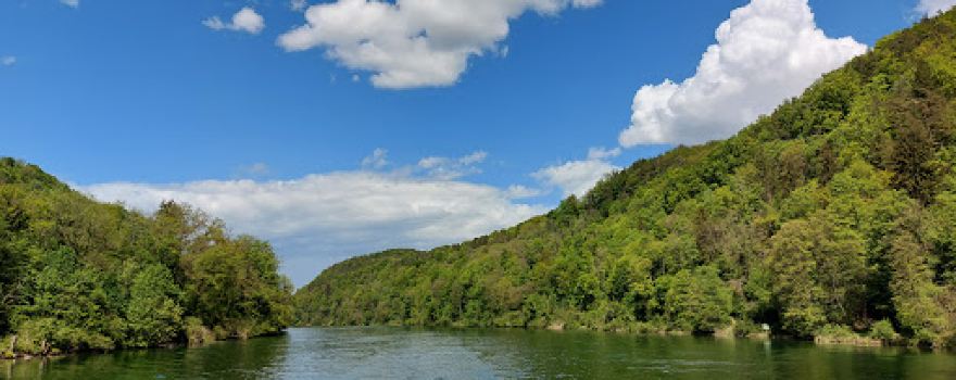 Schifffahrtsgesellschaft Züri-Rhy
