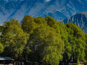 Chitral Polo ground