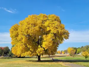 Dykstra Park