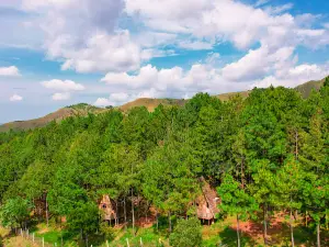 Eco Hotel Los Pinos Parque Agroecoturístico