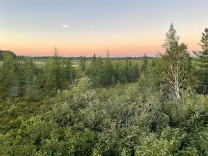Заказник Рейни