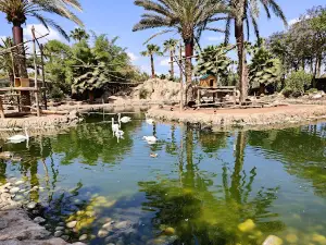 Zoo Parc