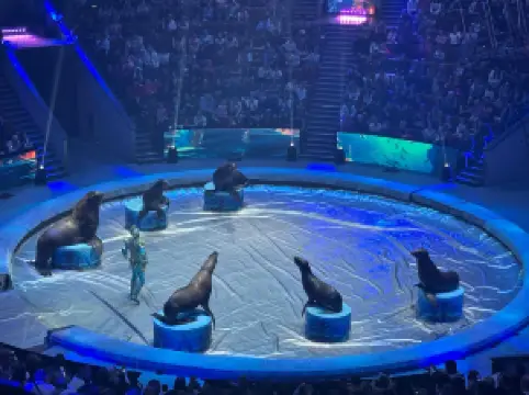 ボリショイ・サーカス（モスクワ国立ボリショイ・サーカス）