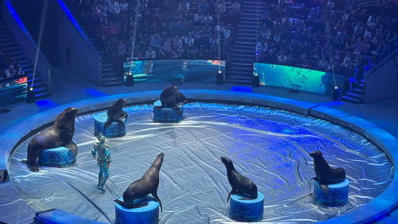 Great Moscow State Circus