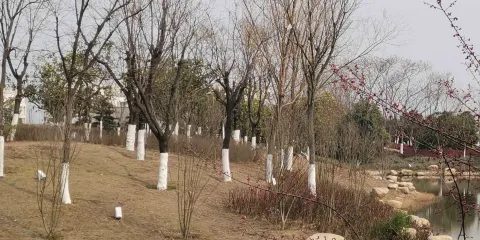 螢火蟲光影