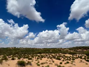Sacred Lake Grassland Bayin Nuur