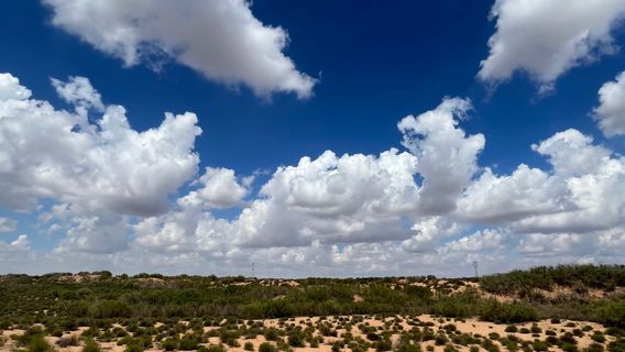Sacred Lake Grassland Bayin Nuur
