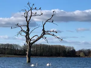 Rutland Water Nature Reserve
