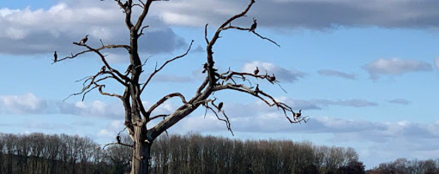 Rutland Water Nature Reserve